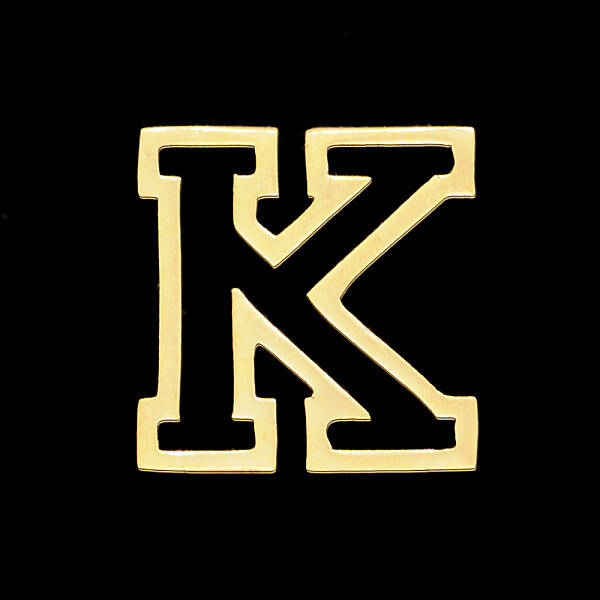 PVD Vacuum Plating 201 Stainless Steel Charms