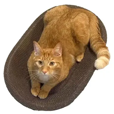 Cat Scratcher ,Oval ,Sturdy Natural Cardboard, 19” L x 12.99” W x 3.14” H, Safe for Claws, Eco-Friendly Durability