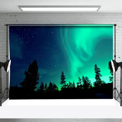 Aurora Light Star Night Black Forest Photo Backdrop - Aperturee