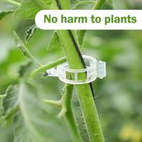 100 Counts Plant Support Clips, Indoor/Outdoor Garden Clips Kit – Prevent Breakage & Boost Tomato Yields