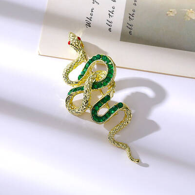 Snake Aolly Rhinestone Brooches