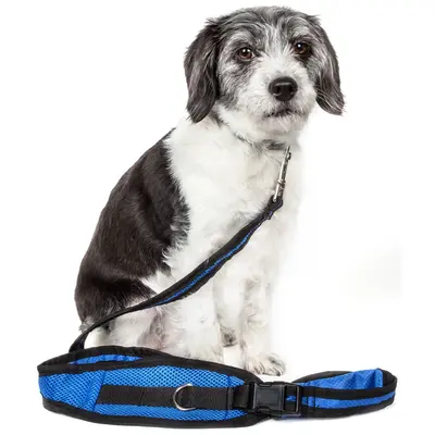 Pet Life Echelon Dog Leash & Belt with Pouch - Orange