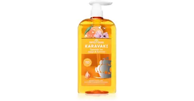 PAPOUTSANIS Karavaki Shine & Vitality shampoo for shiny and soft hair 600 ml