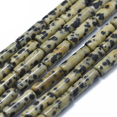 Natural Dalmatian Jasper Beads Strands
