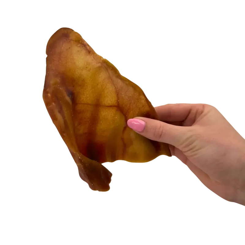 whole pig ears