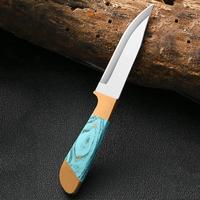 Random Color Portable Fruit Knife with Protective Cover, 1 Count Stainless Steel Kitchen Knife for Processing Meat Fruit Vege...