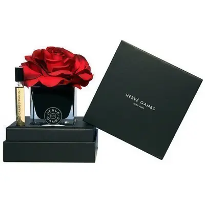 Set Herve Gambs: Ecorce Fauve, room spray, 10 ml + black Couture flower, porcelain, diffuser Aroma Reed, black