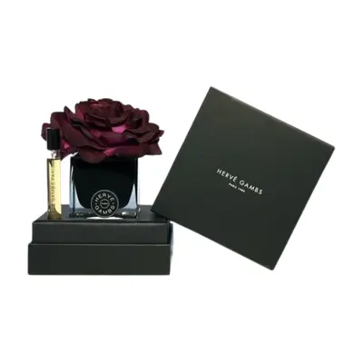 Herve Gambs Set: Ecorce Fauve Room Spray 10 ml + Black Couture Flower Porcelain Aroma Reed Diffuser Black