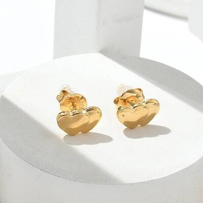304 Stainless Steel Stud Earrings for Women