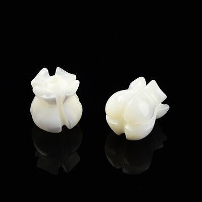 Natural Trochid Shell/Trochus Shell Beads