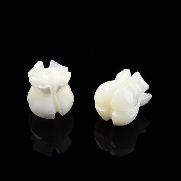 Natural Trochid Shell/Trochus Shell Beads