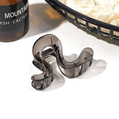 Resin Claw Hair Clips