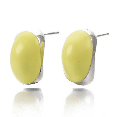 (Jewelry Parties Factory Sale)Alloy Enamel Stud Earring