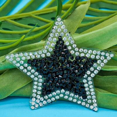 Hotfix Rhinestone Embellishment