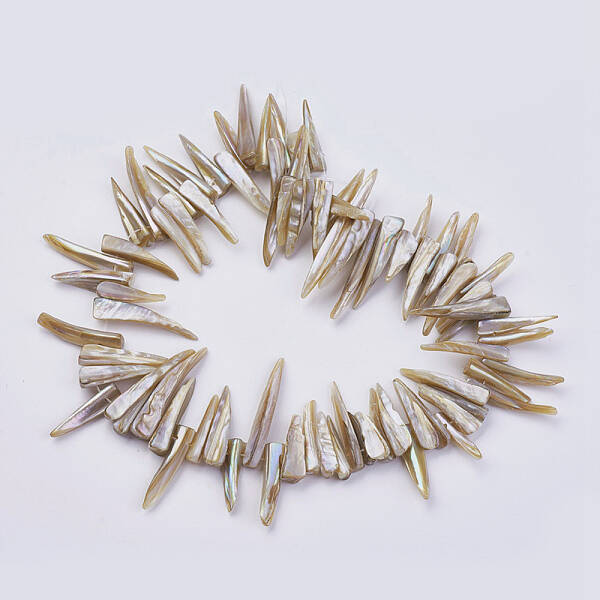 Natural Shell Beads Strands