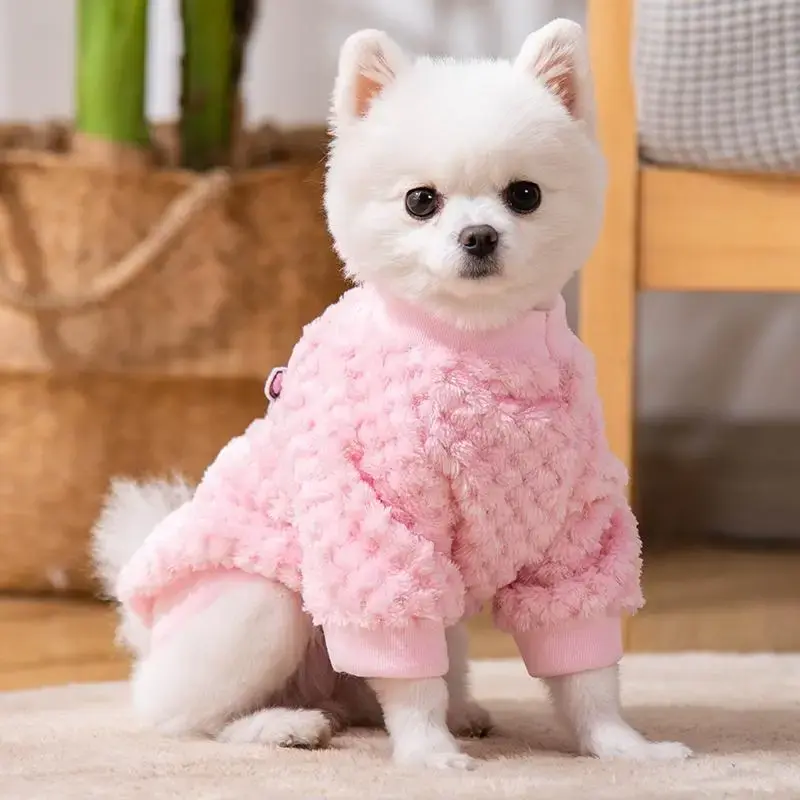 Winter Warm Pet Cloth, Solid Color Pet Sweater, Cute Spring Pet Pullover, Fashion Clothing for Small Dogs & Cats, Christmas G...