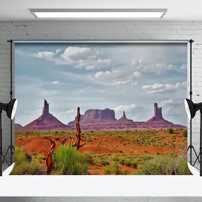 Sky Plant Desert Mountains Natural Scenery Backdrop - Aperturee