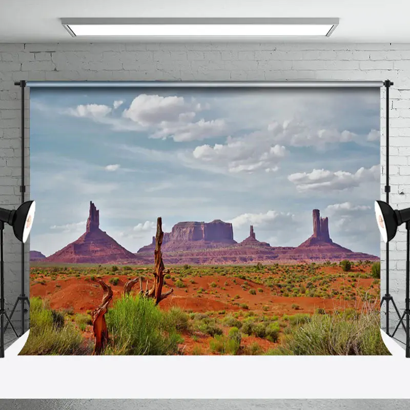 Sky Plant Desert Mountains Natural Scenery Backdrop - Aperturee