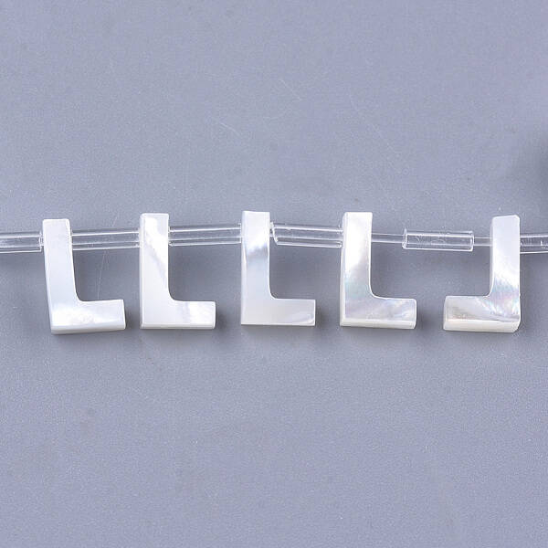 Natural Sea Shell Beads