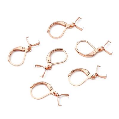 304 Stainless Steel Leverback Earring Findings