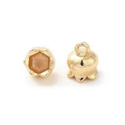 Brass Charms