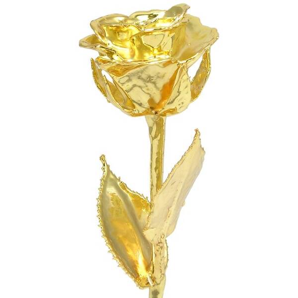 24k Gold Rose: 8 Real Dipped Rose