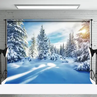 Snow Cover Pine Forest Sunshine Winter Backdrop - Aperturee