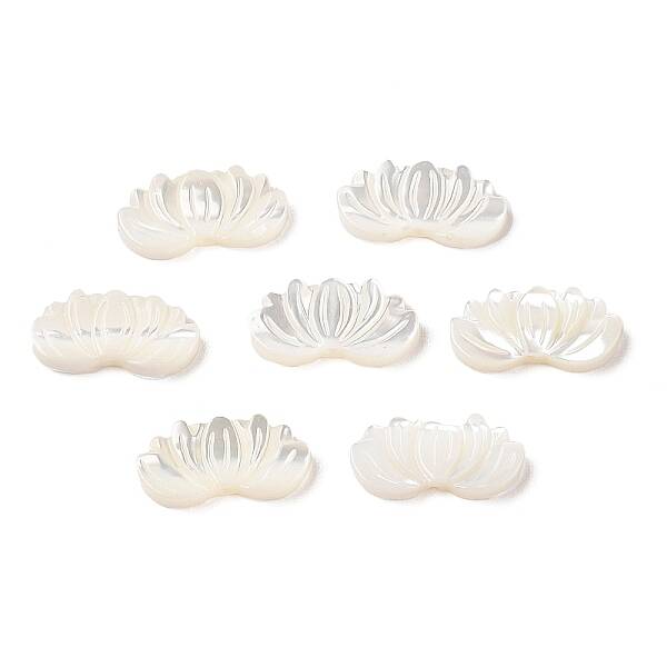 Natural Trochus Shell Carved Beads