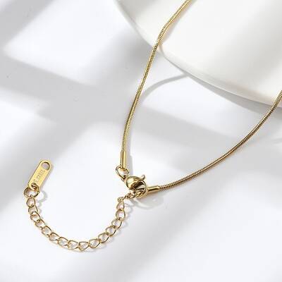 Ion Plating(IP) 304 Stainless Steel Round Snake Chain Necklace for Men Women