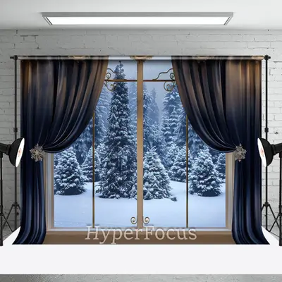 Blue Curtain Window Forest Scene Winter Backdrop - Aperturee