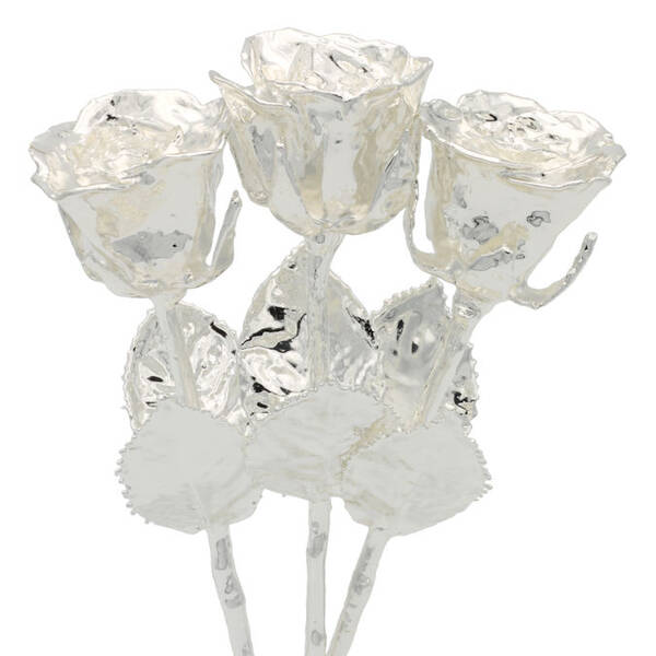 3 Past, Present, Future 8 Silver Dipped Roses