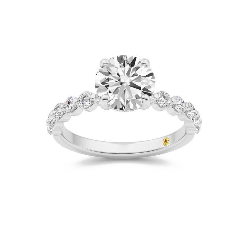 Frost Shared Prong Round Lab Grown Diamond Engagement Ring | 14K White Gold 3 3/4 CT. TW.