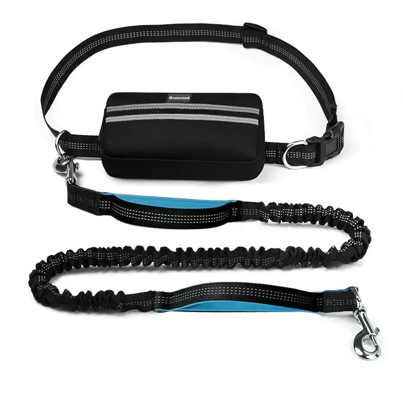 Geoorood Hands Free Dog Leash with Zipper Pouch, Dual Padded Handles, Bungee for Small Medium Dogs, 2 Heavy-Duty Clips & 2 Ha...