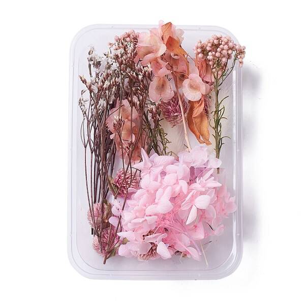 Dried Flowers