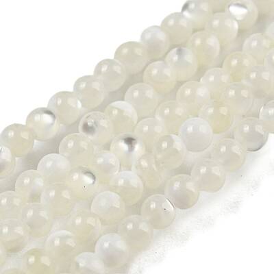 Natural Trochid Shell/Trochus Shell Beads Strands