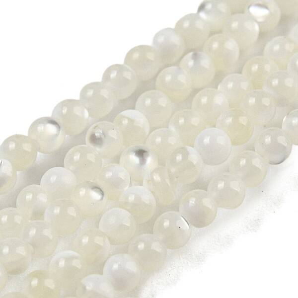 Natural Trochid Shell/Trochus Shell Beads Strands