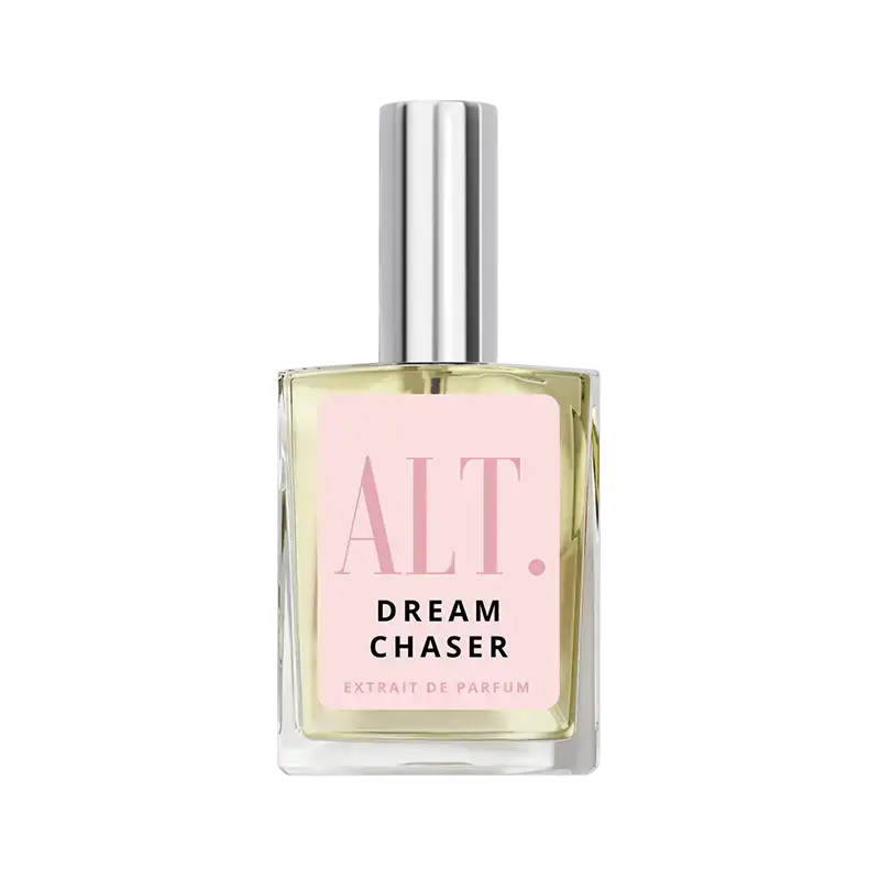 Dream Chaser
