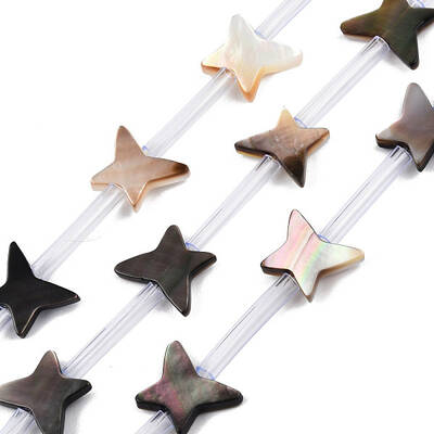 Natural Black Lip Shell Beads Strands