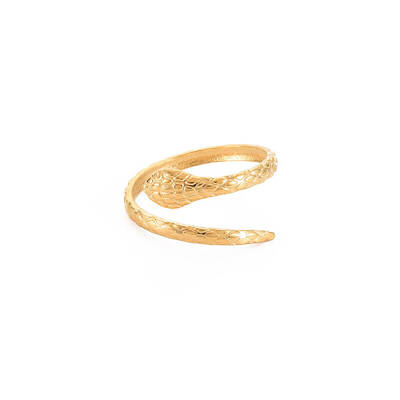 Ion Plating(IP) 304 Stainless Steel Snake Open Cuff Ring for Women
