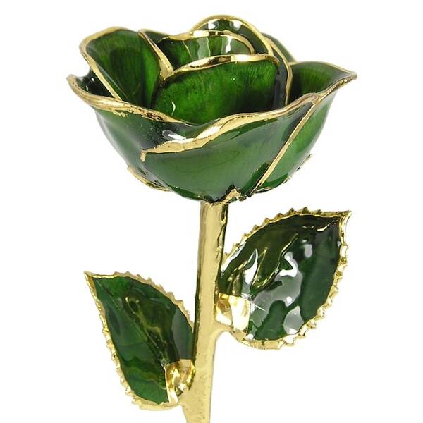 24k Gold Trimmed Rose: 11 Dark Green Rose