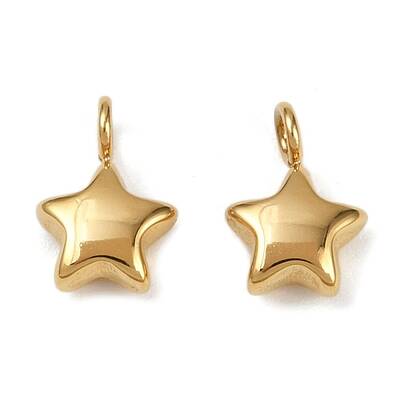 304 Stainless Steel Charms