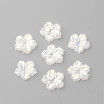 Acrylic Cabochons