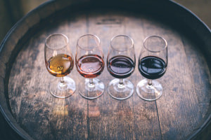 An Introduction to Wines