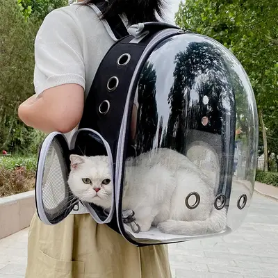 Outdoor Pet Backpack, Cat Backpack, Portable Breathable Cat And Dog Bag, Cat Carrier, Creative Pet Travel Bag