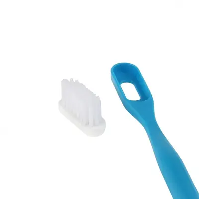 Reload Lamazuna of 3 soft heads for eco-friendly toothbrush