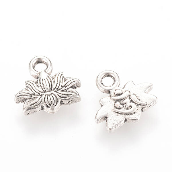 Tibetan Style Alloy Charms