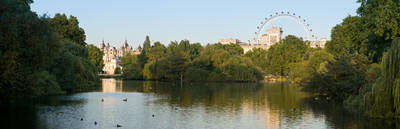 The VIP London tour to the London Eye, Westminster and Buckingham Palace