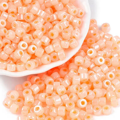 Glass Seed Beads