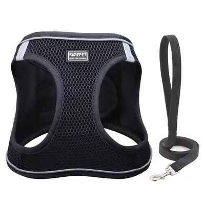 Pet Chest Strap with Leash, Adjustable Pet Harness with Leash, Pet Supplies for Small and Medium Dogs and Cats, Dog & Cat Acc...