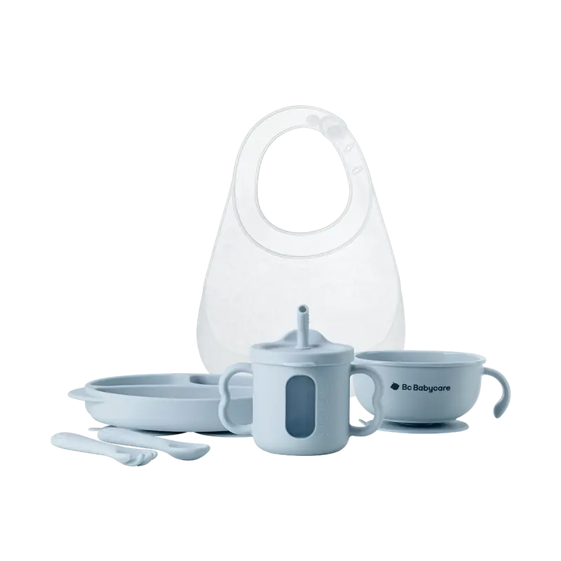 Little Savor Silicone Baby Feeding Set
